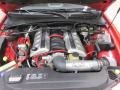  2006 GTO Coupe 6.0 Liter OHV 16 Valve LS2 V8 Engine