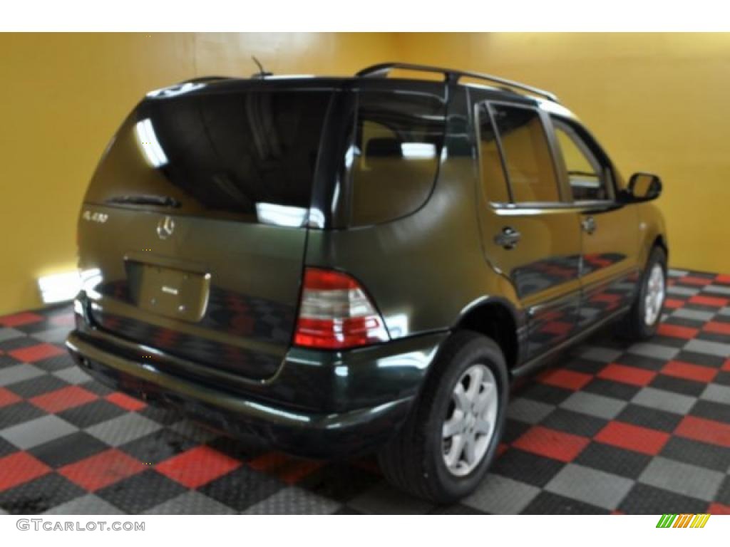 2001 ML 430 4Matic - Cypress Green Metallic / Java photo #4