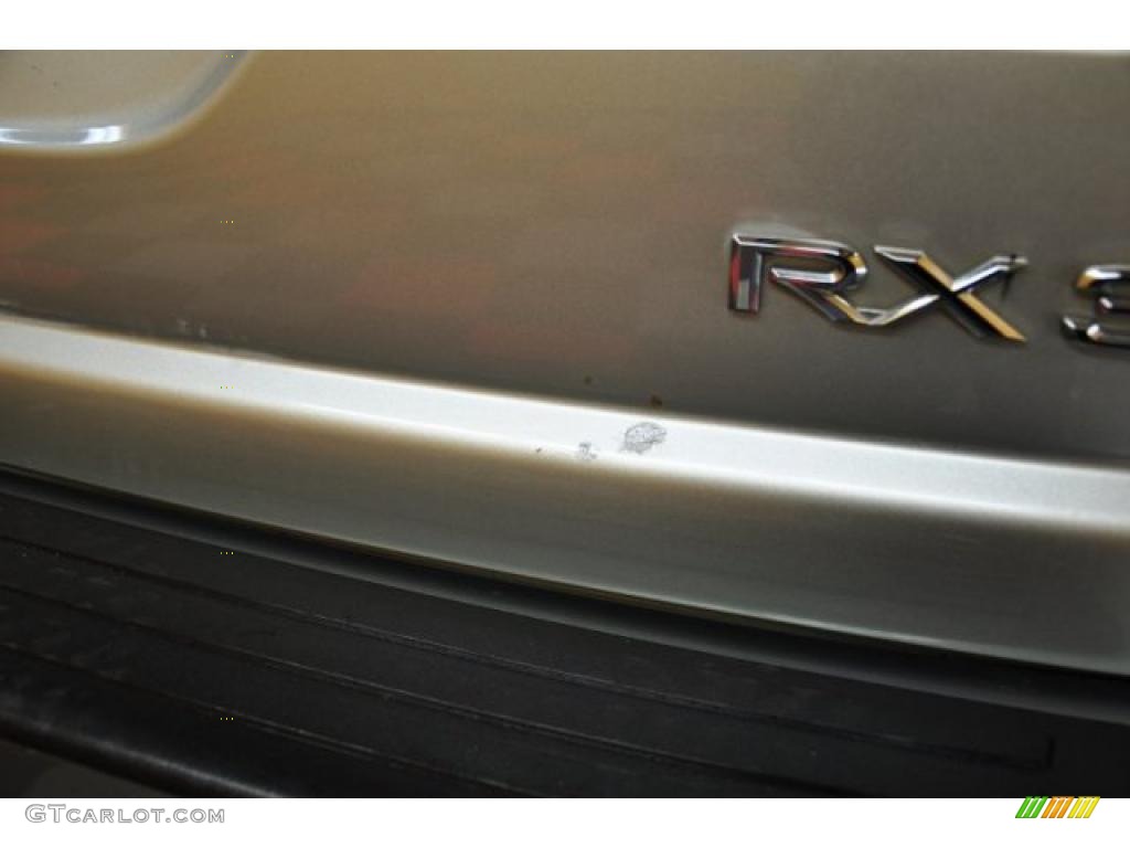 2003 RX 300 AWD - Millenium Silver Metallic / Black photo #22