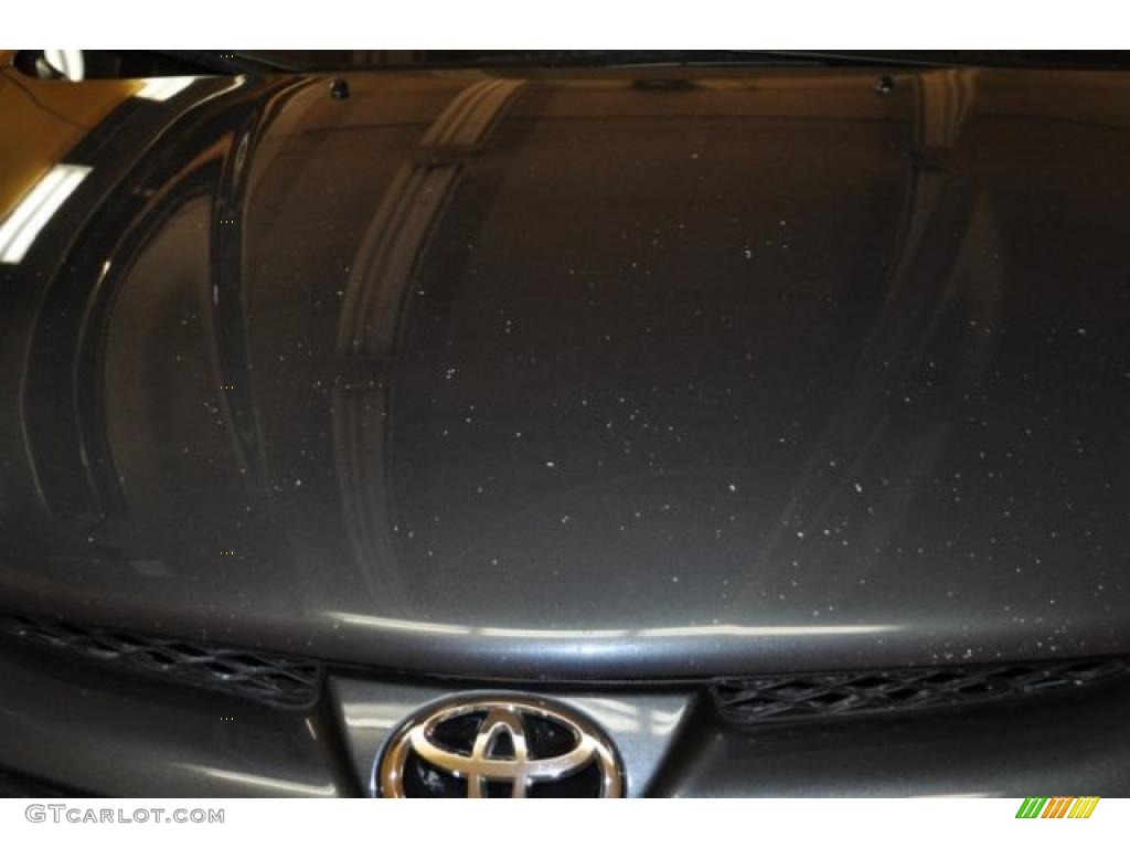 2006 Sienna LE - Slate Metallic / Stone Gray photo #18