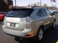 Bamboo Pearl - RX 350 AWD Photo No. 10