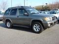 Polished Pewter Metallic 2003 Nissan Pathfinder SE Exterior