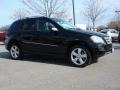 Black - ML 350 4Matic Photo No. 2
