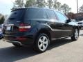 Black - ML 350 4Matic Photo No. 4