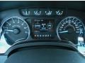 Steel Gray Gauges Photo for 2011 Ford F150 #46770156