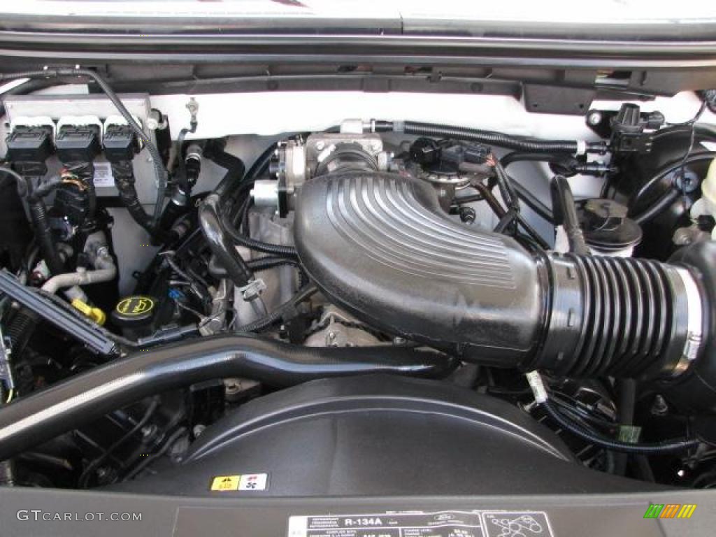 2006 Ford F150 XL Regular Cab 4.6 Liter SOHC 16-Valve Triton V8 Engine Photo #46771563