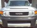 Titanium Metallic - FJ Cruiser 4WD Photo No. 2