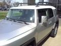 Titanium Metallic - FJ Cruiser 4WD Photo No. 21