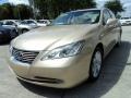 Golden Almond Metallic - ES 350 Photo No. 13