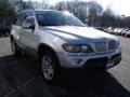 Titanium Silver Metallic - X5 4.4i Photo No. 2