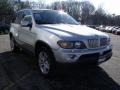 2005 Titanium Silver Metallic BMW X5 4.4i  photo #2