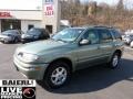 2003 Silver Green Metallic Oldsmobile Bravada AWD  photo #3