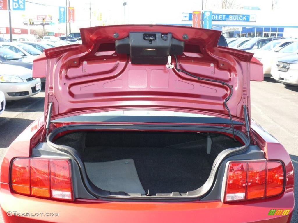 2005 Mustang V6 Premium Coupe - Redfire Metallic / Light Graphite photo #12