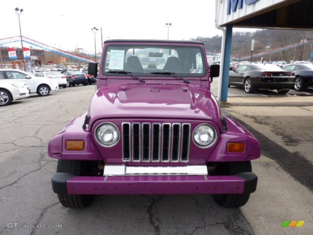 1997 Wrangler SE 4x4 - Magenta / Gray photo #4