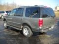 1999 Spruce Green Metallic Ford Expedition XLT 4x4  photo #5