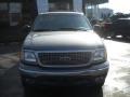 1999 Spruce Green Metallic Ford Expedition XLT 4x4  photo #11