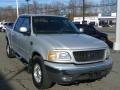 2003 Silver Metallic Ford F150 XLT SuperCrew 4x4  photo #1
