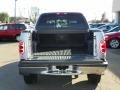 2003 Silver Metallic Ford F150 XLT SuperCrew 4x4  photo #7