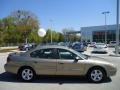 Arizona Beige Metallic - Taurus SES Photo No. 13