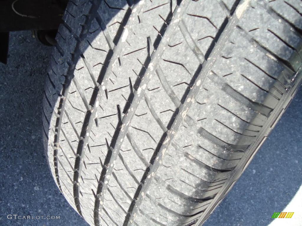 2004 Grand Marquis LS Ultimate Edition - Spruce Green Metallic / Medium Parchment photo #24