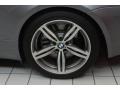 2008 BMW M6 Convertible Wheel and Tire Photo