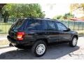 2004 Brillant Black Crystal Pearl Jeep Grand Cherokee Limited 4x4  photo #9
