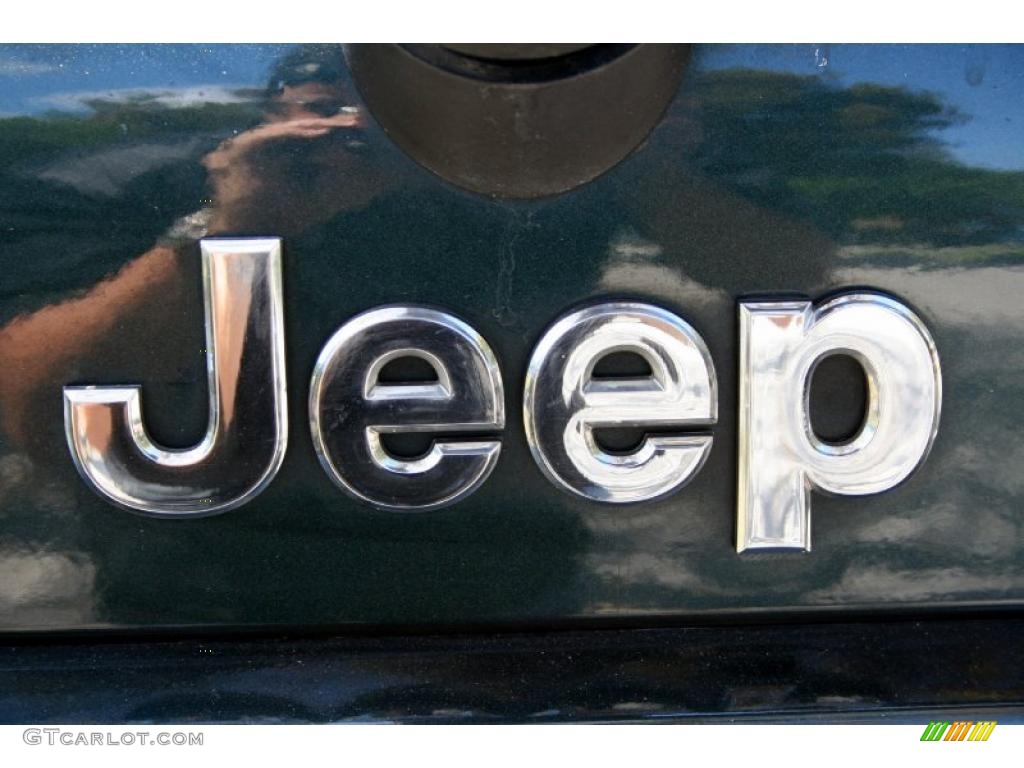 2005 Grand Cherokee Limited 4x4 - Deep Beryl Green Pearl / Dark Khaki/Light Graystone photo #14
