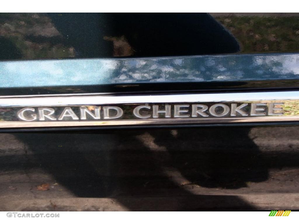 2005 Grand Cherokee Limited 4x4 - Deep Beryl Green Pearl / Dark Khaki/Light Graystone photo #27