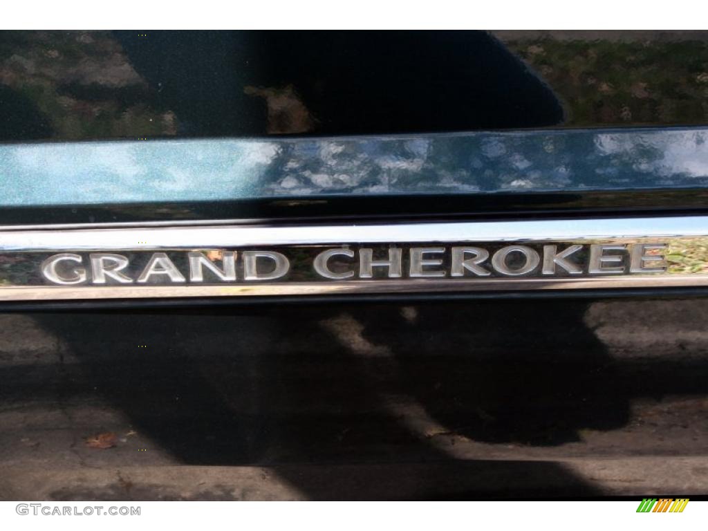 2005 Grand Cherokee Limited 4x4 - Deep Beryl Green Pearl / Dark Khaki/Light Graystone photo #28