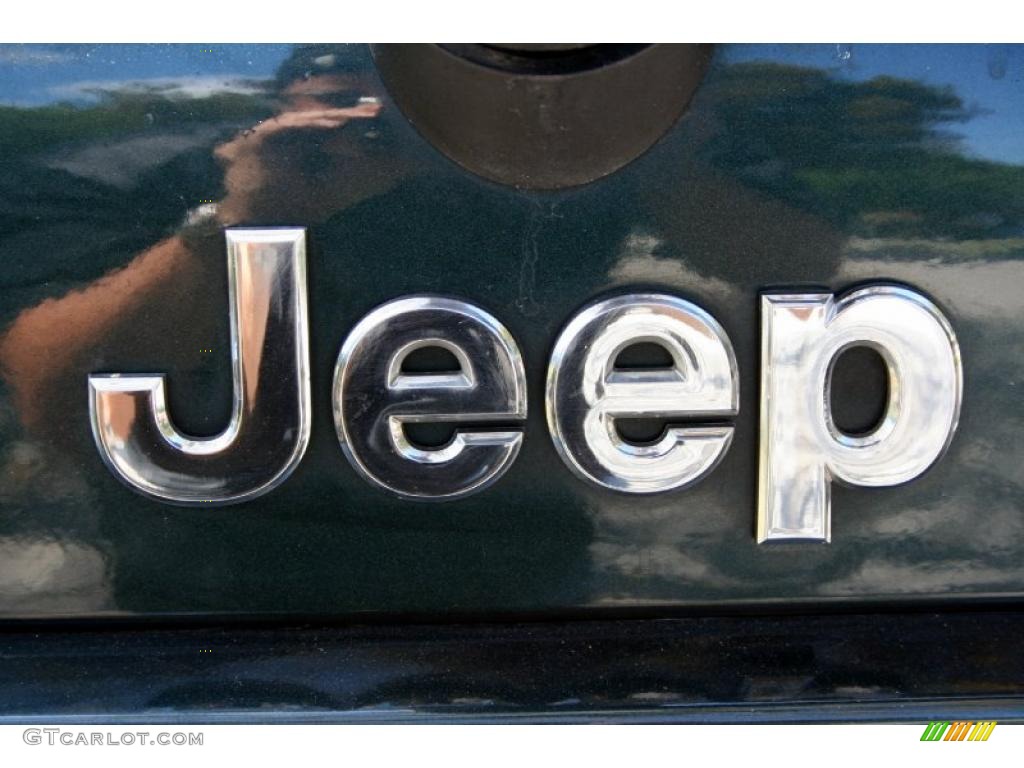 2005 Grand Cherokee Limited 4x4 - Deep Beryl Green Pearl / Dark Khaki/Light Graystone photo #97