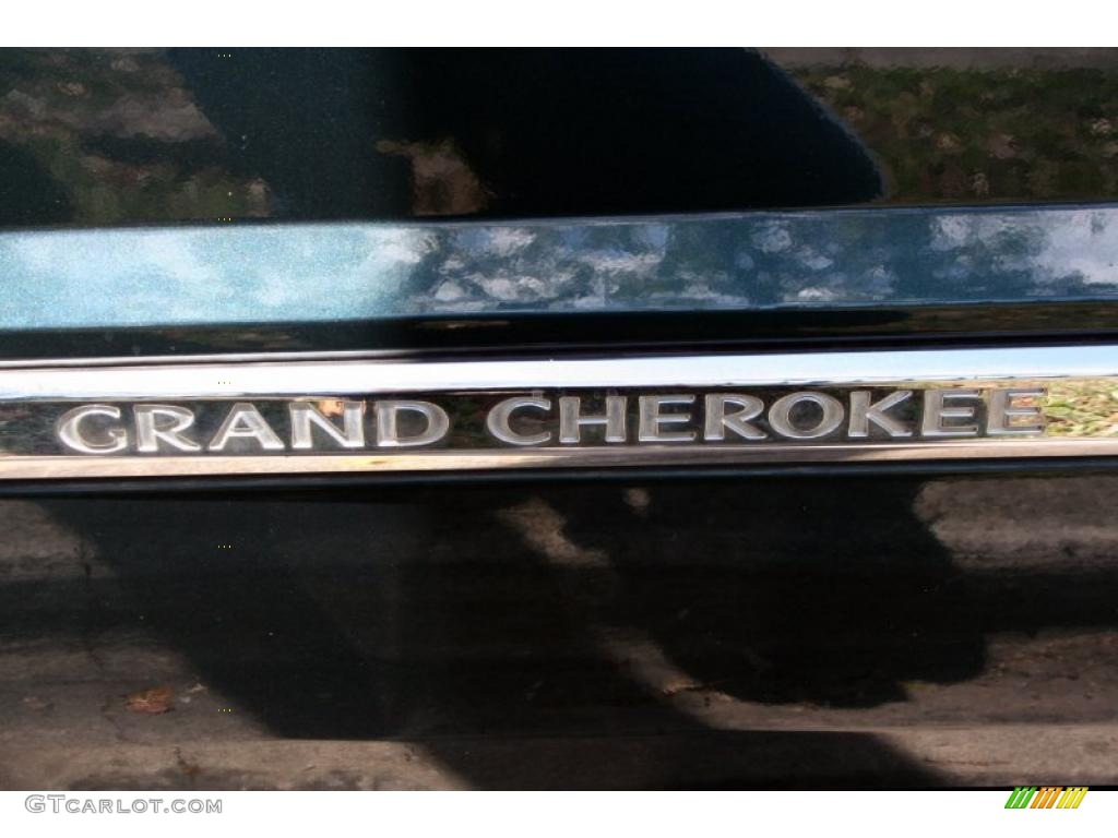 2005 Grand Cherokee Limited 4x4 - Deep Beryl Green Pearl / Dark Khaki/Light Graystone photo #100