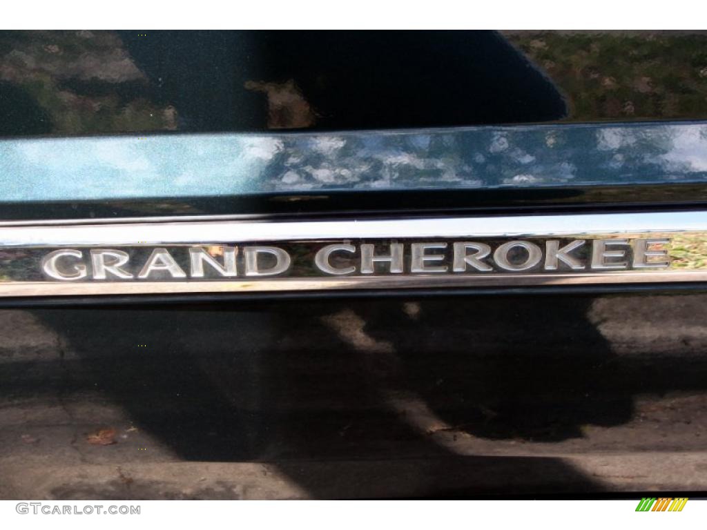 2005 Grand Cherokee Limited 4x4 - Deep Beryl Green Pearl / Dark Khaki/Light Graystone photo #101