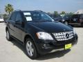 Black - ML 350 Photo No. 1