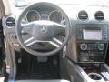 Black - ML 350 Photo No. 5