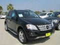 Black - ML 350 Photo No. 1