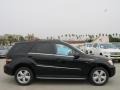 Black 2011 Mercedes-Benz ML 350 BlueTEC 4Matic Exterior