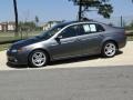 Polished Metal Metallic - TL 3.2 Photo No. 7