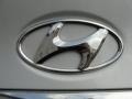 Radiant Silver - Sonata GLS Photo No. 16