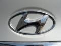 2011 Radiant Silver Hyundai Sonata GLS  photo #16