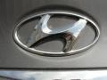 2011 Harbor Gray Metallic Hyundai Sonata GLS  photo #16