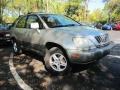 2002 Millennium Silver Metallic Lexus RX 300  photo #1