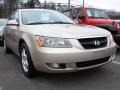 Golden Beige - Sonata GLS Photo No. 1