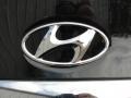 2011 Midnight Black Hyundai Sonata GLS  photo #16