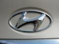 2011 Camel Pearl Hyundai Sonata GLS  photo #16