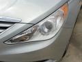 Radiant Silver - Sonata GLS Photo No. 9