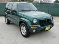 2004 Timberline Green Pearl Jeep Liberty Limited  photo #1