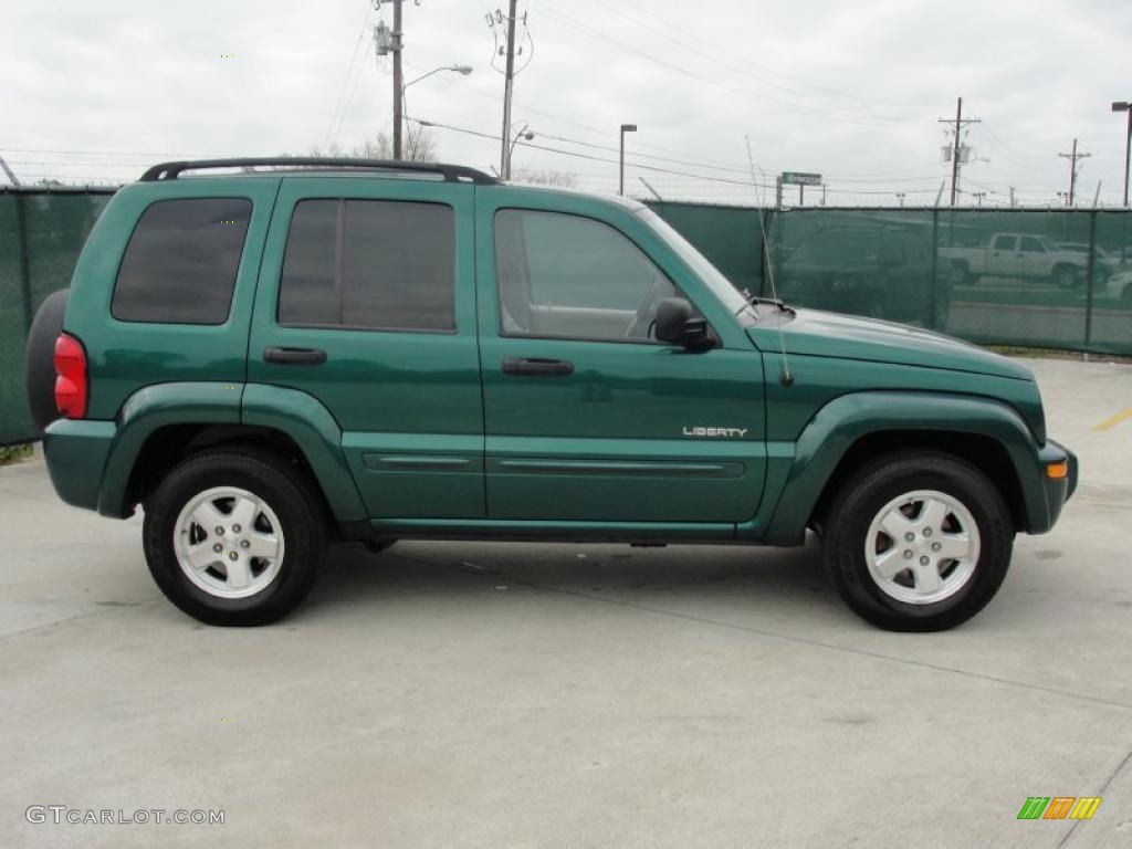 2004 Liberty Limited - Timberline Green Pearl / Taupe photo #2