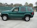 2004 Timberline Green Pearl Jeep Liberty Limited  photo #6