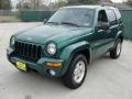 2004 Timberline Green Pearl Jeep Liberty Limited  photo #7