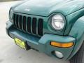 2004 Timberline Green Pearl Jeep Liberty Limited  photo #12